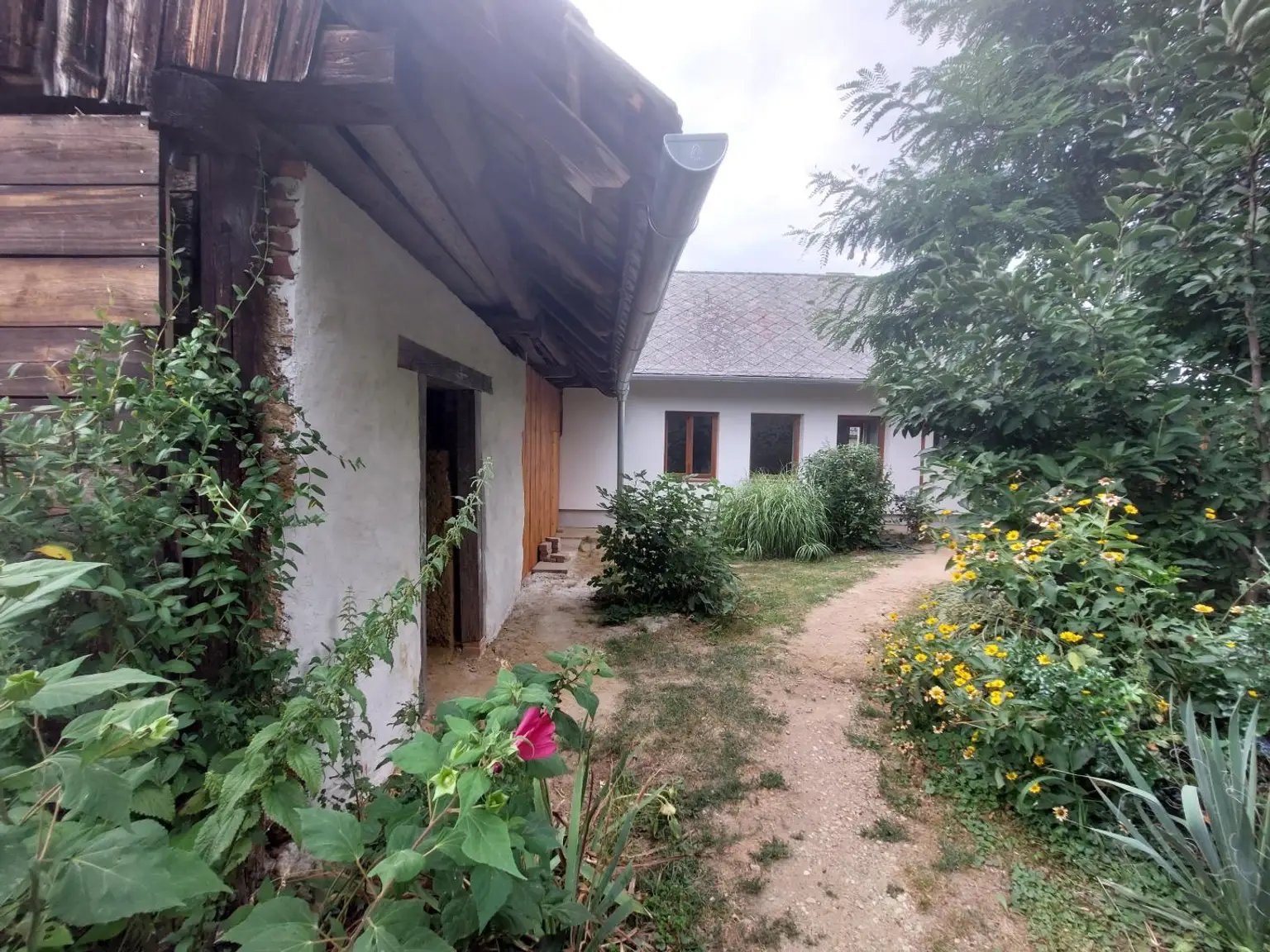 Hofseite