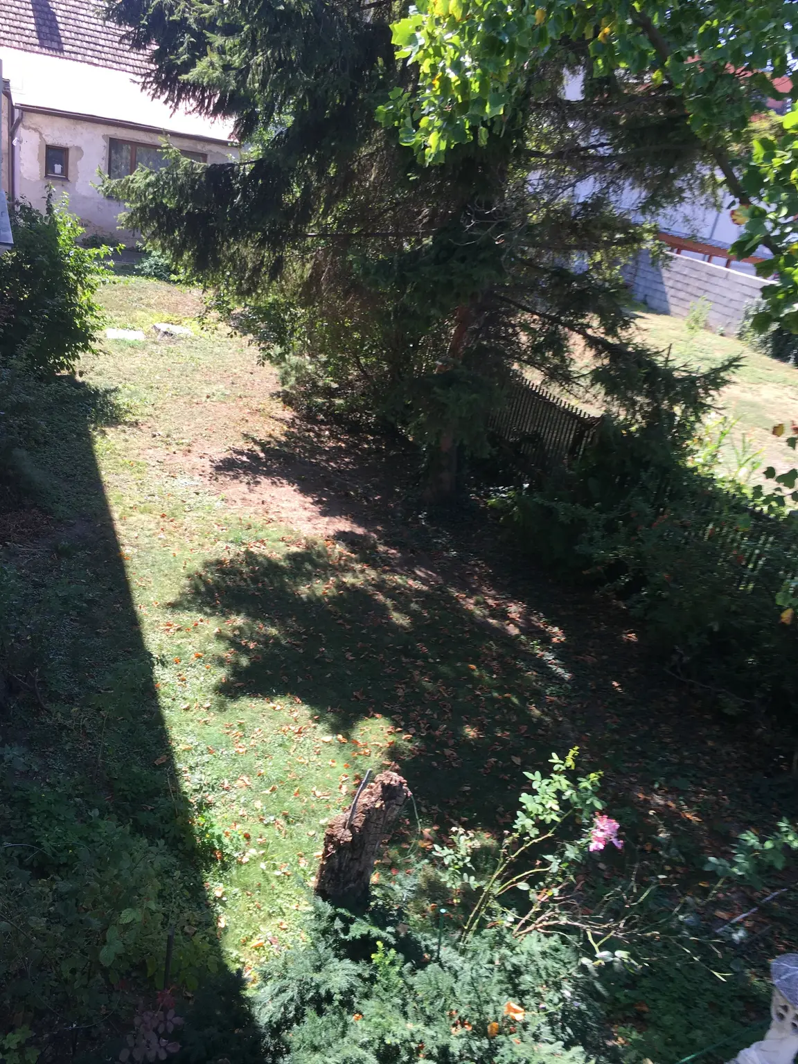 Ein- und Mehrfamilienhaus mit Potential, auch für Bauträger geeignet!!!