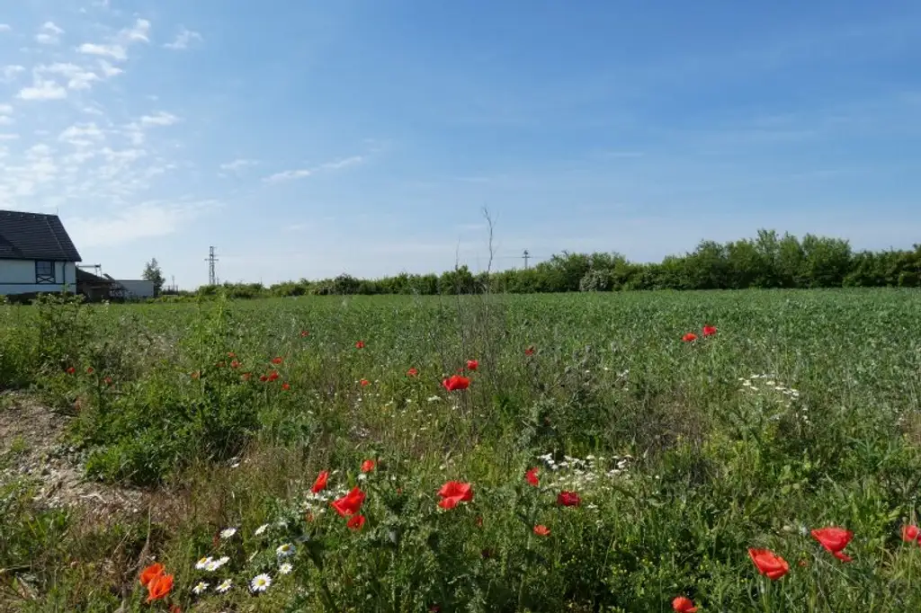 ECKGRUNDSTÜCK INMITTEN SCHÖNER NATUR NÄHE WIEN BRATISLAVA