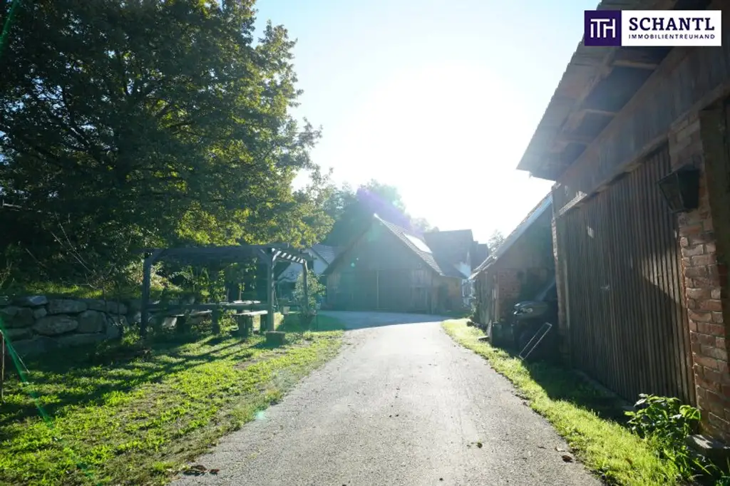 SENSATIONELLES JUWEL! Exklusiver Vierkanthof im Thermenland Steiermark – Wohnen, Reiten & Leben mit Pool und Natur!