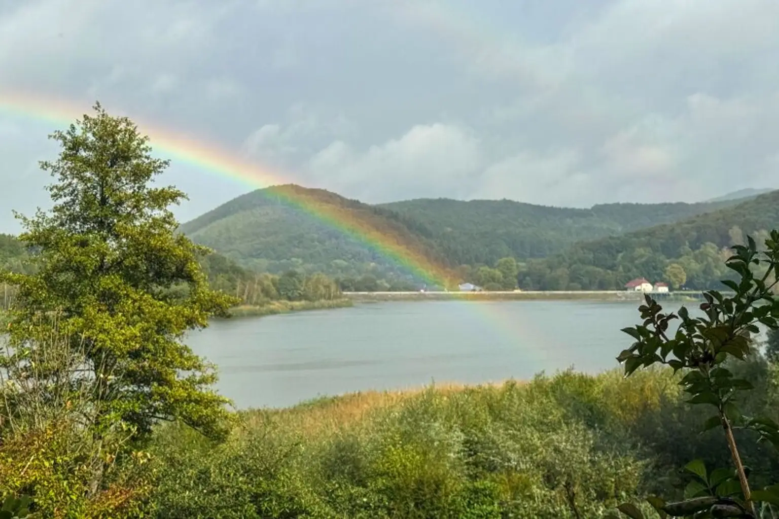 Blick auf den Wienerwaldsee