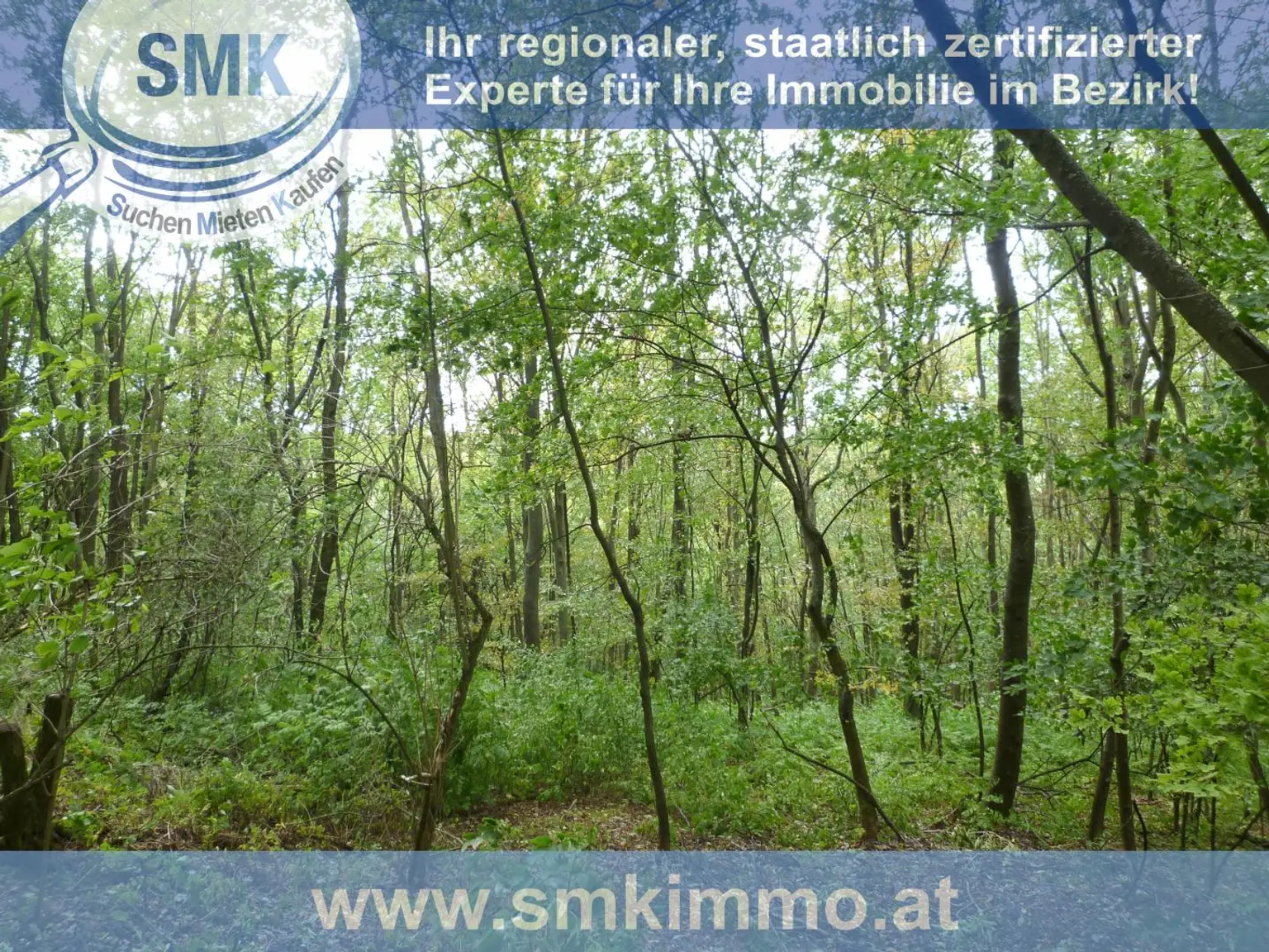 Waldgrundstück Nähe A5!
