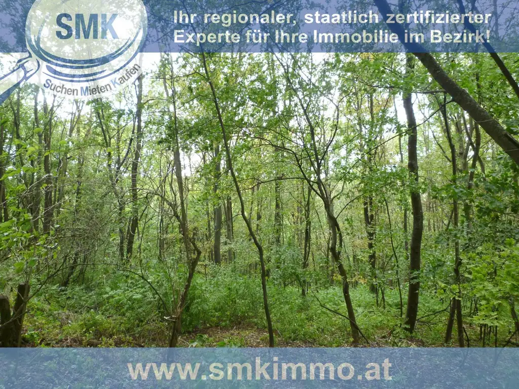 Waldgrundstück Nähe A5!