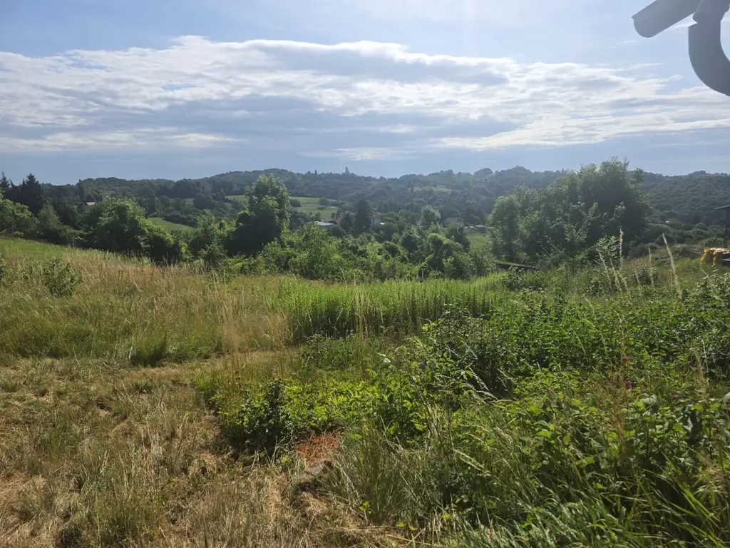 Baugrund + Freiland (Weingarten) in Aussichtslage!