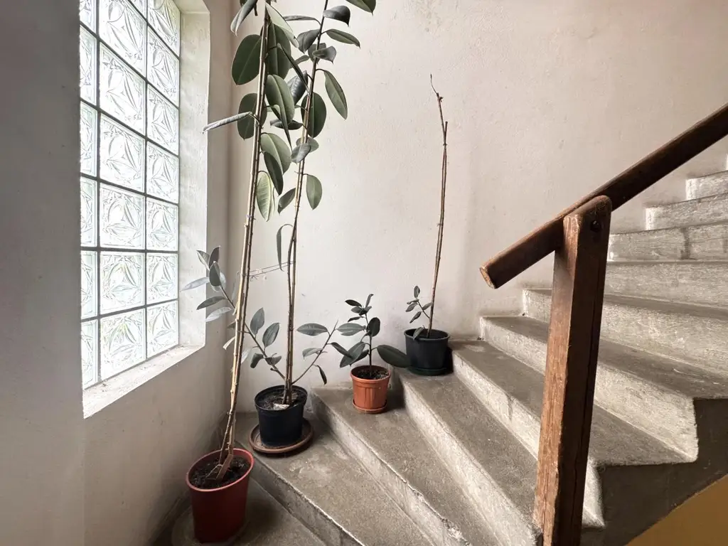 Sanierungsbedürftiges Mehrfamilienhaus mit großem Grundstück und hoher Bebauungsdichte