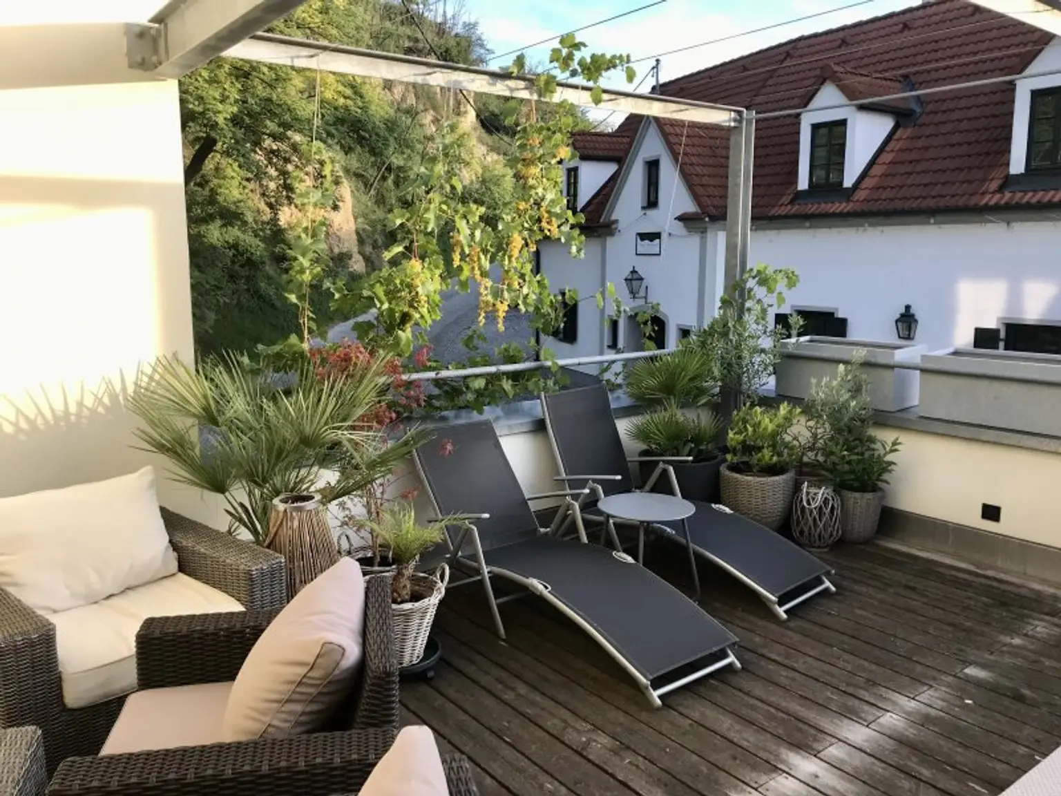 Einzigartige Liegenschaft in der Wachau | Ausgebautes Weinkeller-Loft mit WOW-Faktor