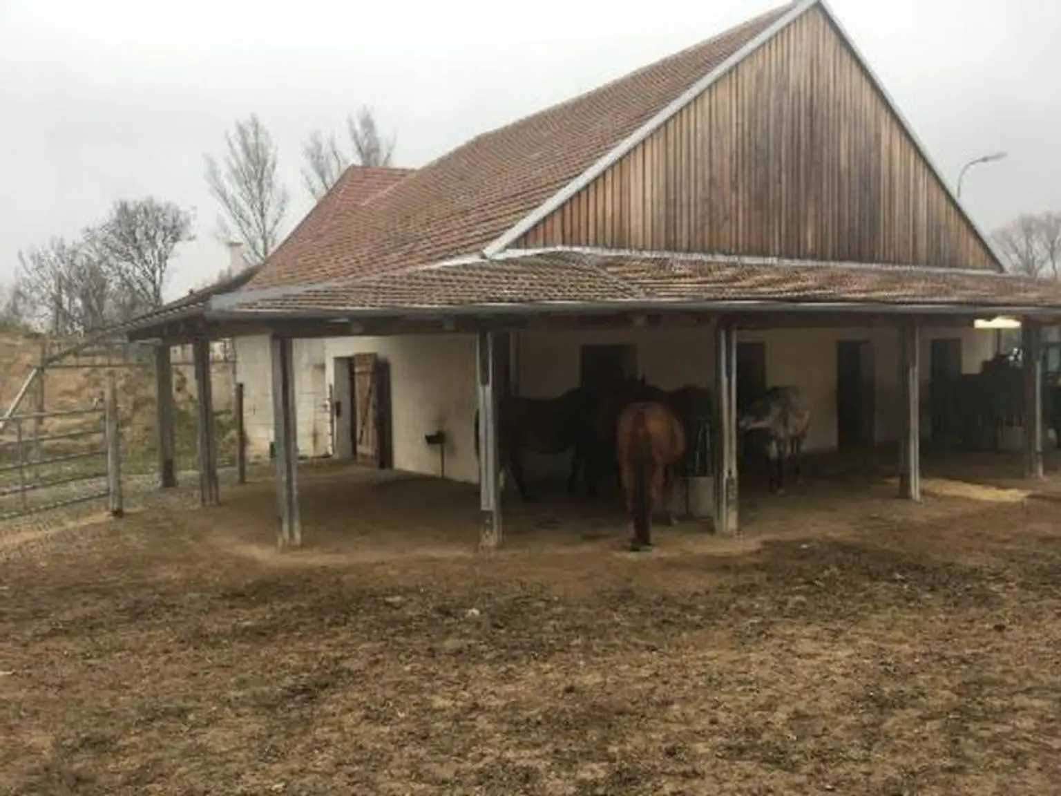 Zeitzeuge am Gartenbach – Historisches Mühlenanwesen Pferdehaltung