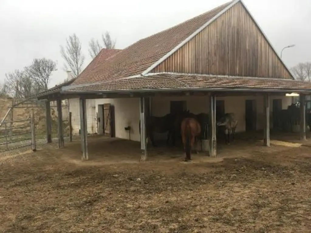 Zeitzeuge am Gartenbach – Historisches Mühlenanwesen Pferdehaltung