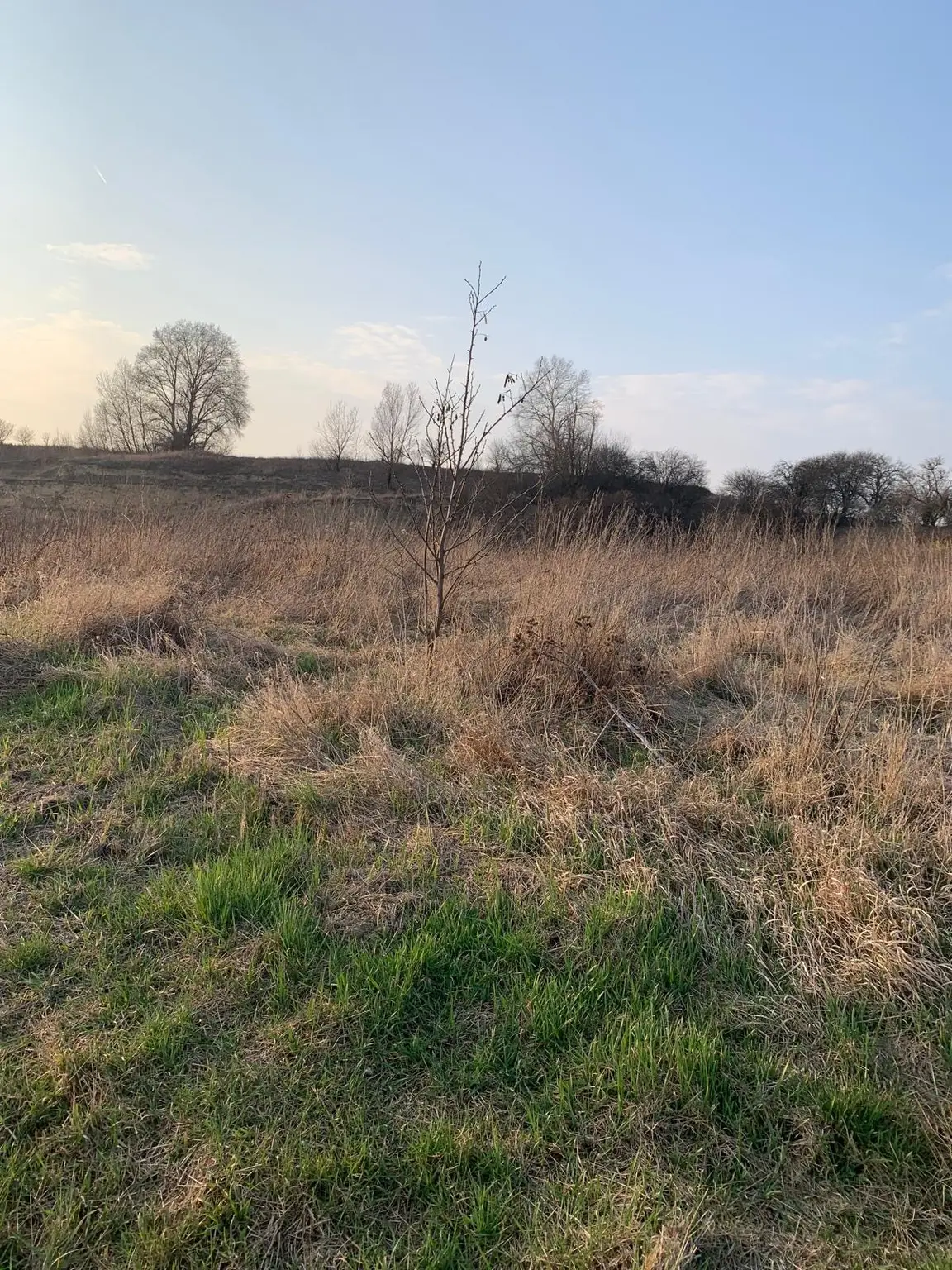 INDUSTRIEGRUNDSTÜCK - 40 Minuten vor Wien