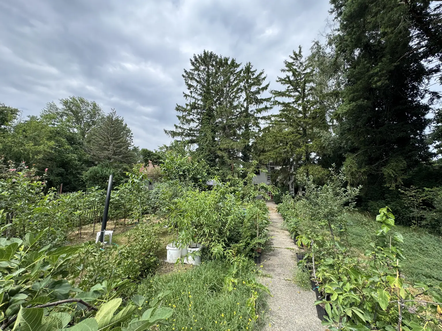 Exklusives Grundstück in Traumlage am Mühlwasser
