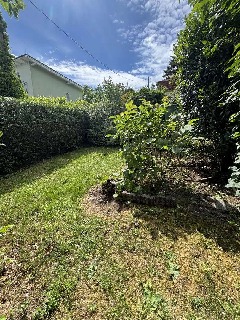 Garten_Rückseite2