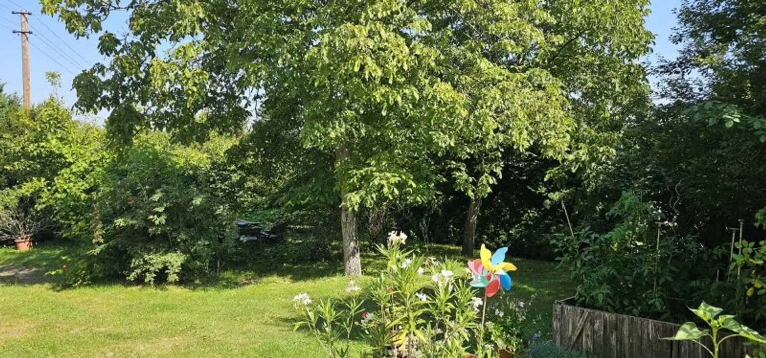 Ruhiges Bauernsacherl nähe Güssing