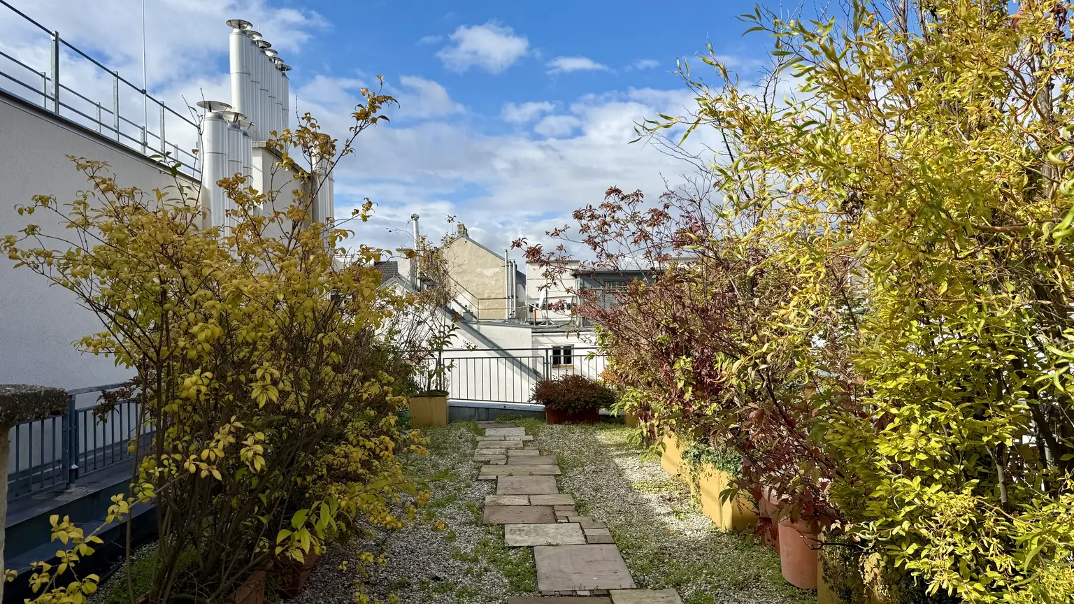 Albertplatz I Penthouse in Toplage