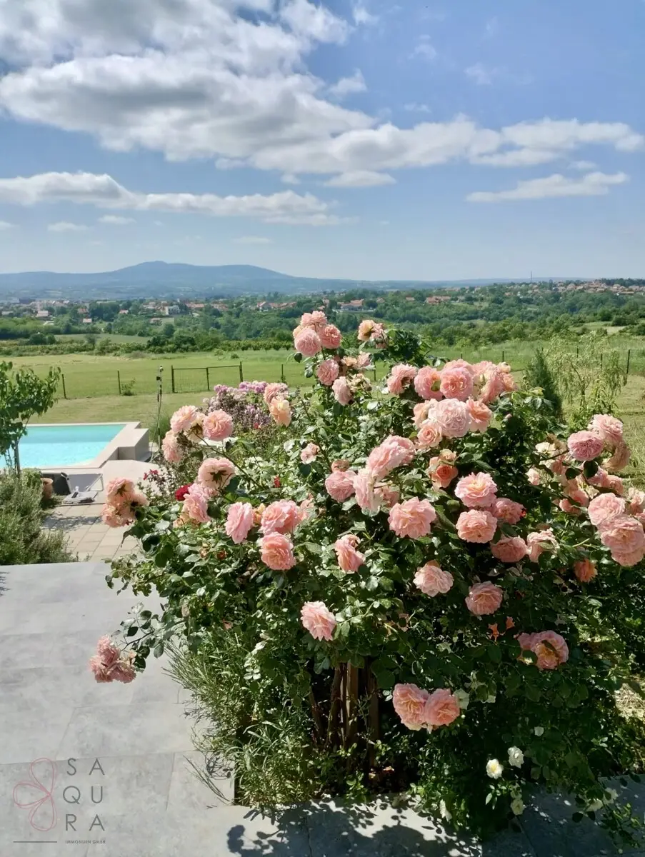 78d626ce-3d34-4481-98bd-a6e818f4ee3c