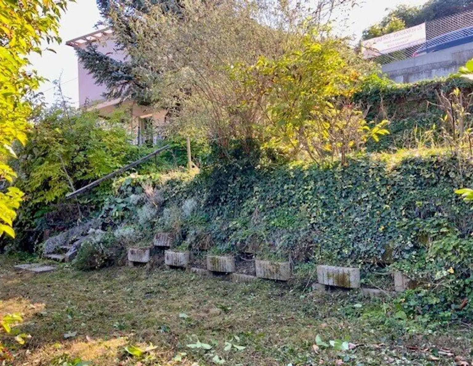 Ihr Sonnengrundstück im begehrten Sachsenviertel