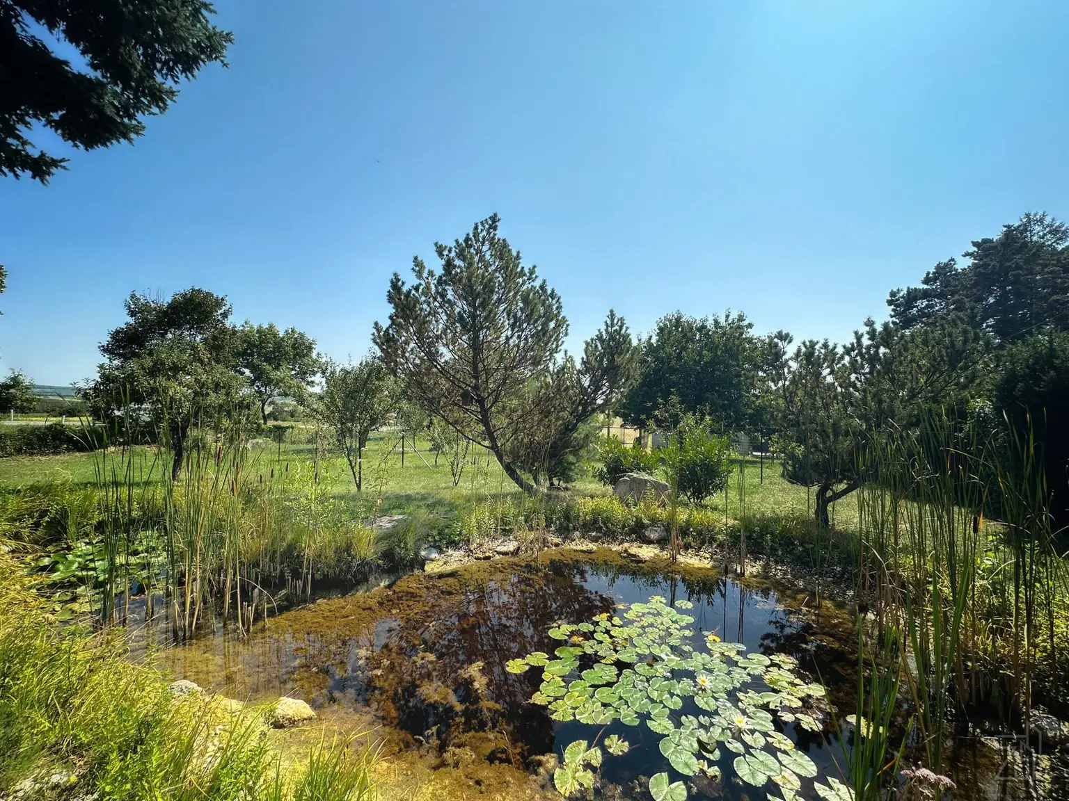 Charmanter Bungalow auf großzügigem Grundstück mit Seeblick
