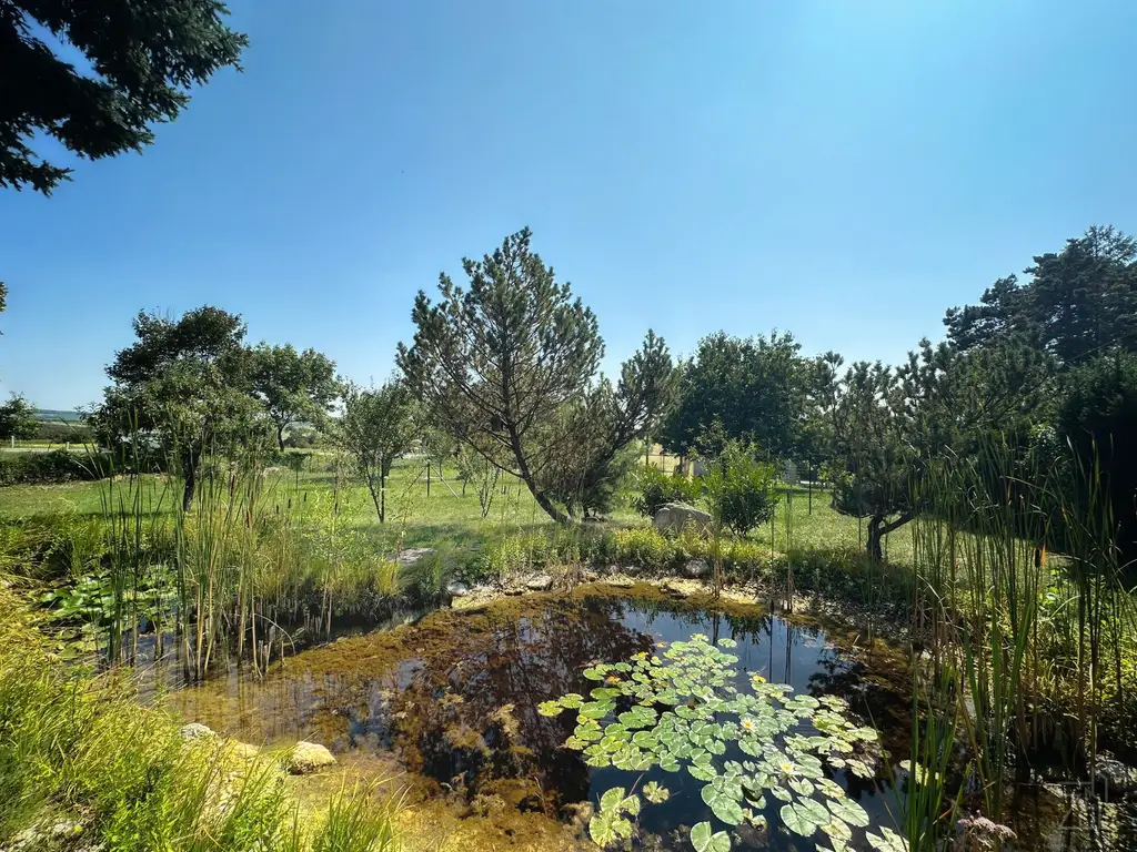 Charmanter Bungalow auf großzügigem Grundstück mit Seeblick
