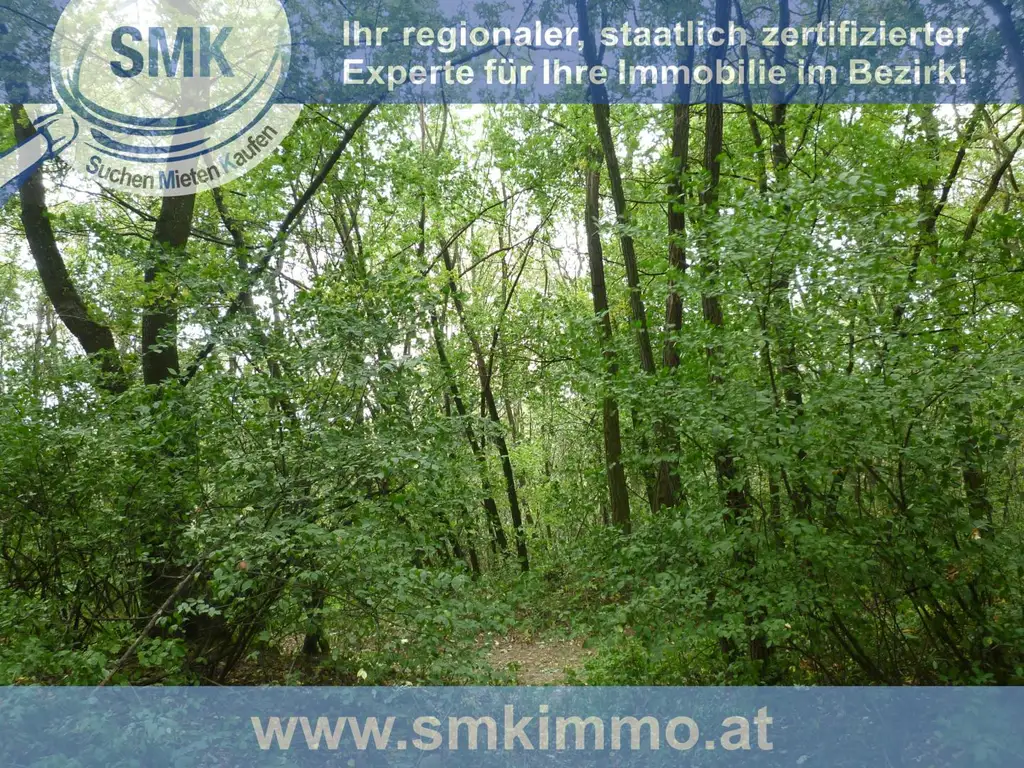 Waldgrundstück Nähe A5!