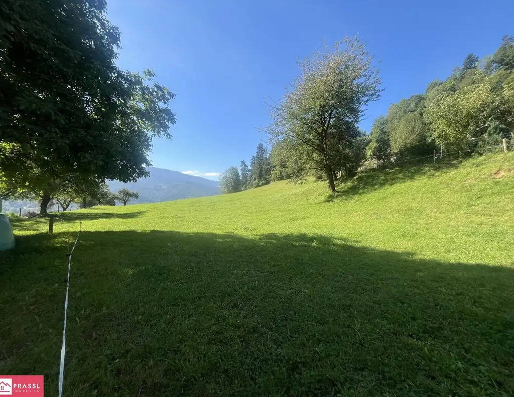 Einmalige Gelegenheit: Traumgrundstück am Südhang mit Panoramablick - 2,4 ha Bau- & Bauerwartungsland in Proleb/Leoben