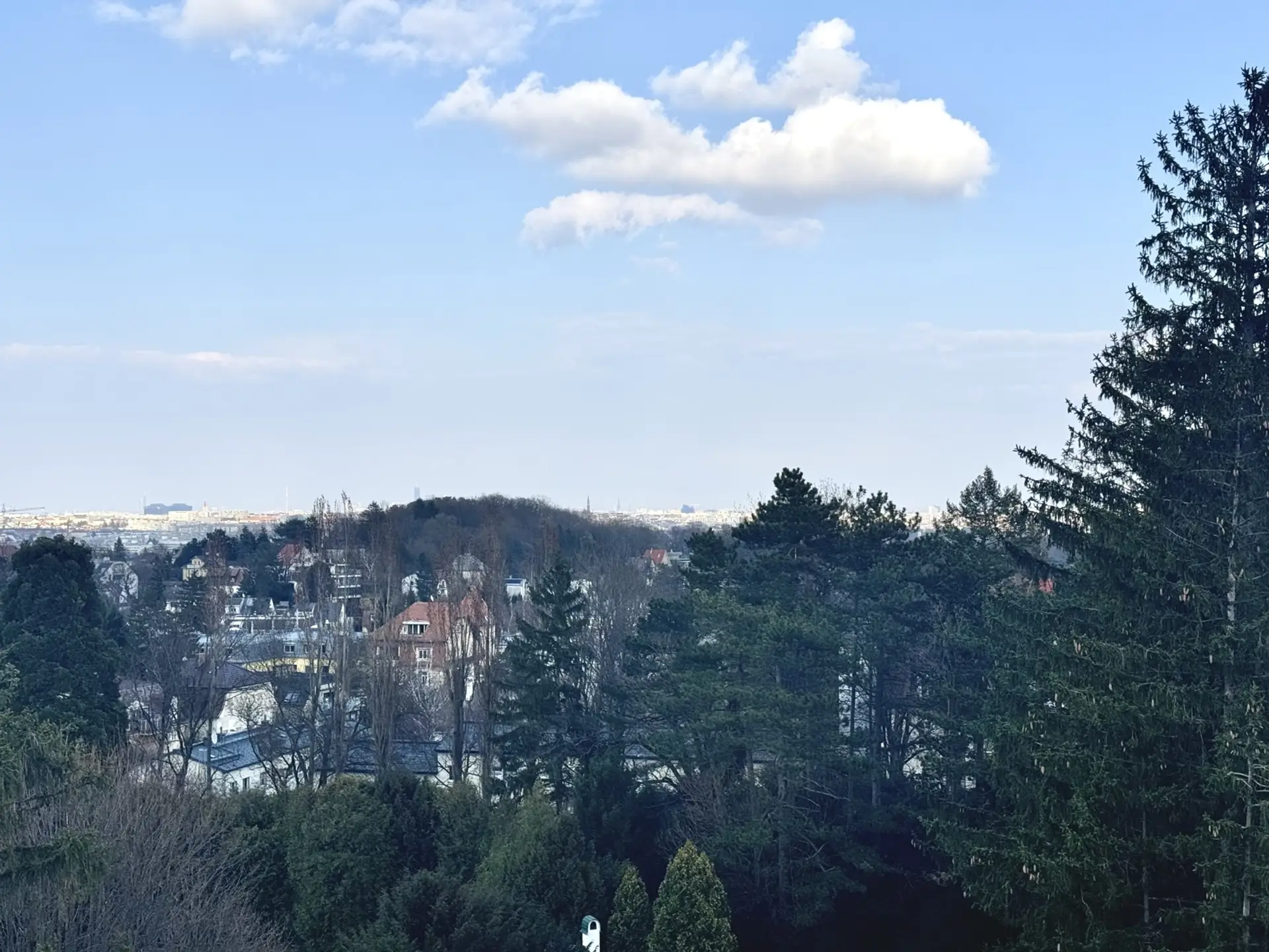 20250325_144732199_iOS