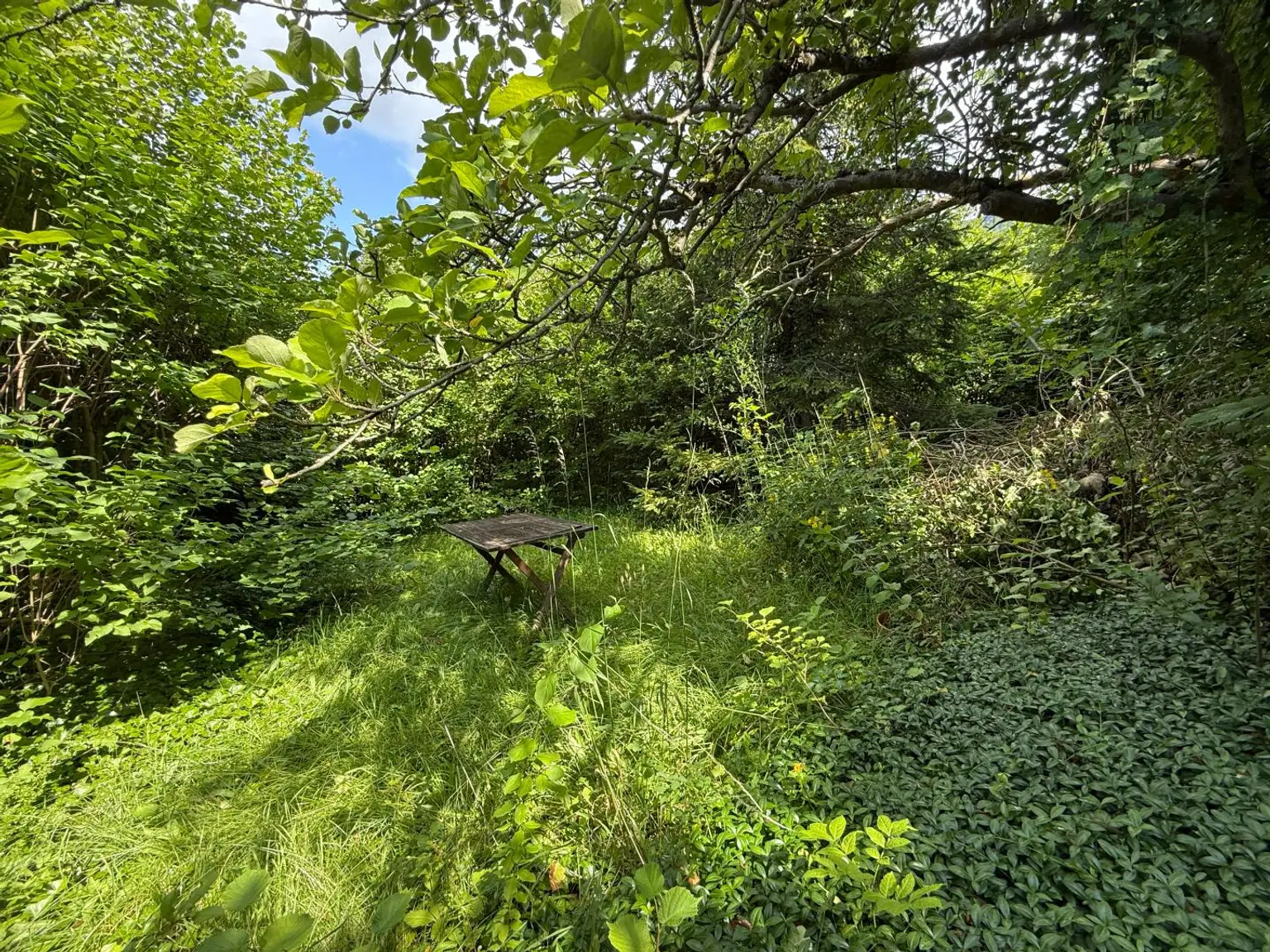 *** Charmantes Landhaus, 154m², Teilsaniert mit großem Gartenanteil und viel Potenzial ***