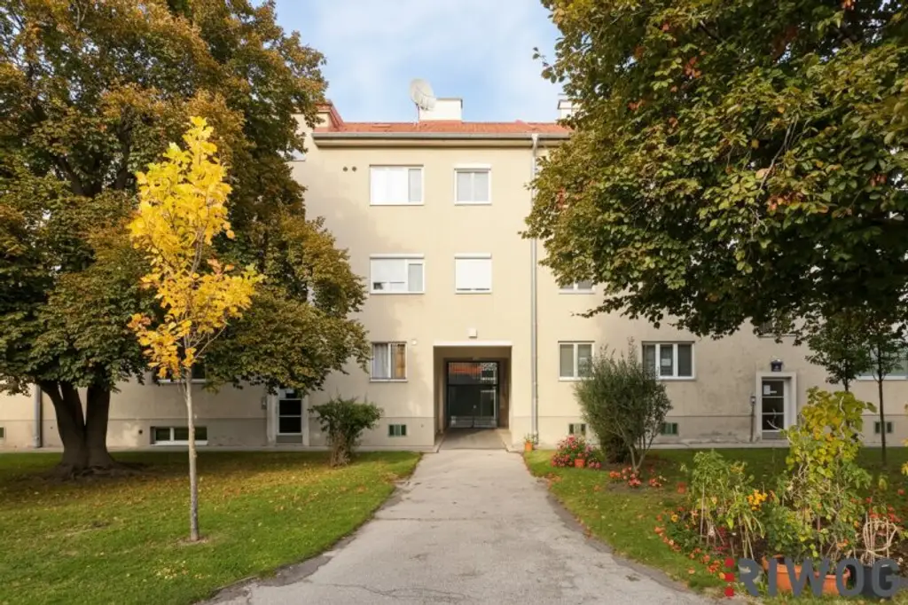 ERSTBEZUG nach Sanierung I 3-Zimmer Wohnung I Schöner Gemeinschaftsgarten I inkl. Tischler Küche mit Siemens Geräten