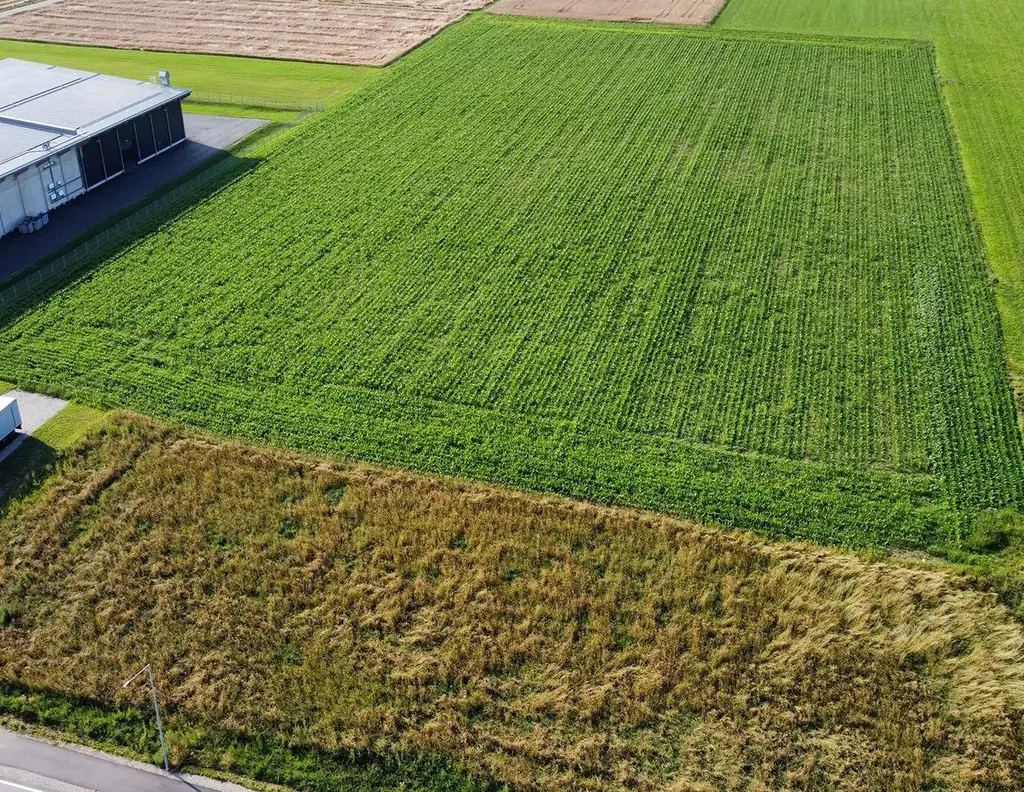 BAURECHT: Gewerbegrundstück mit knapp 32.000 m² in optimaler Verkehrslage +++ Spielberg +++