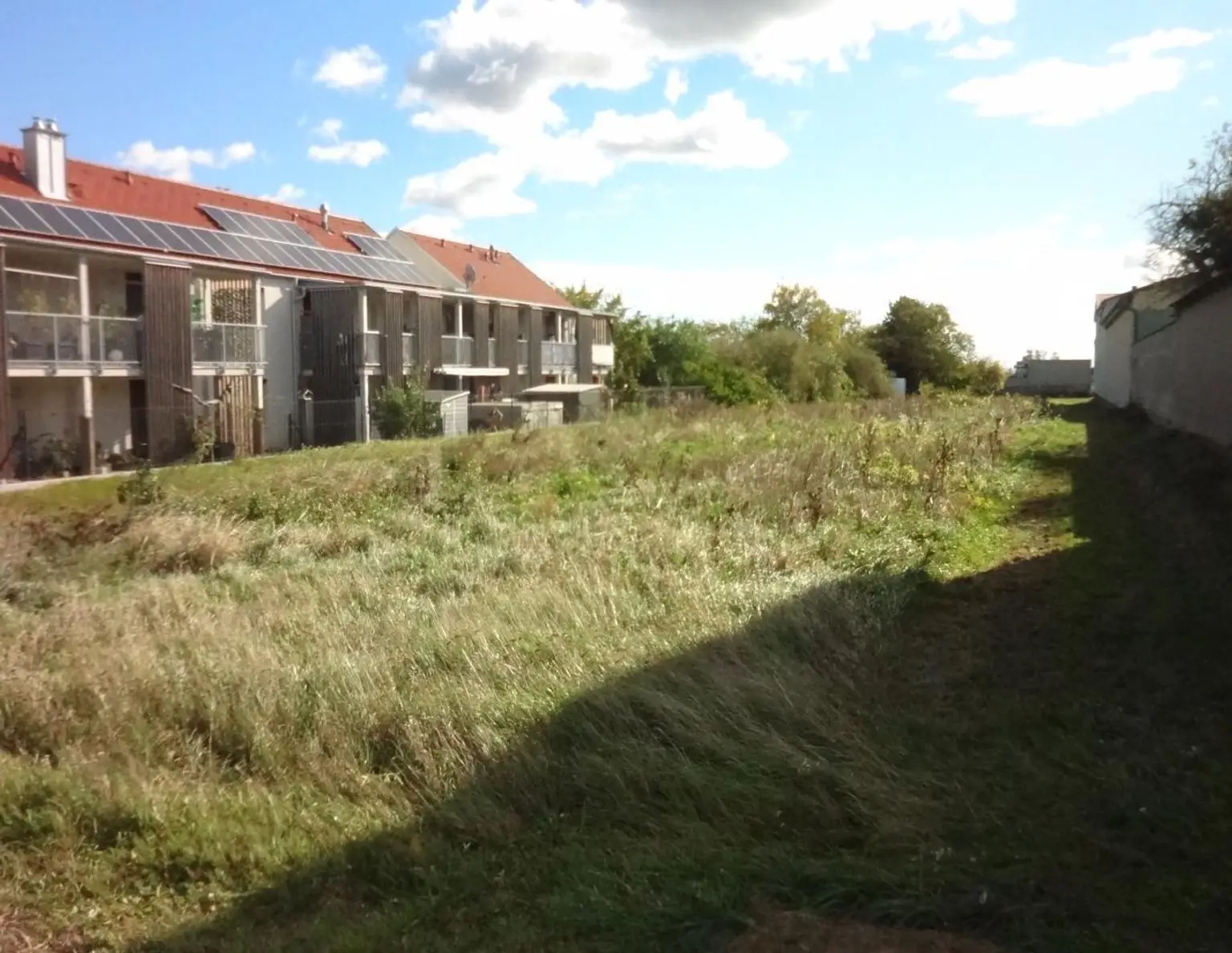 Aufgeschlossenes Grundstück in bester Lage am Ortsrand von Gols!