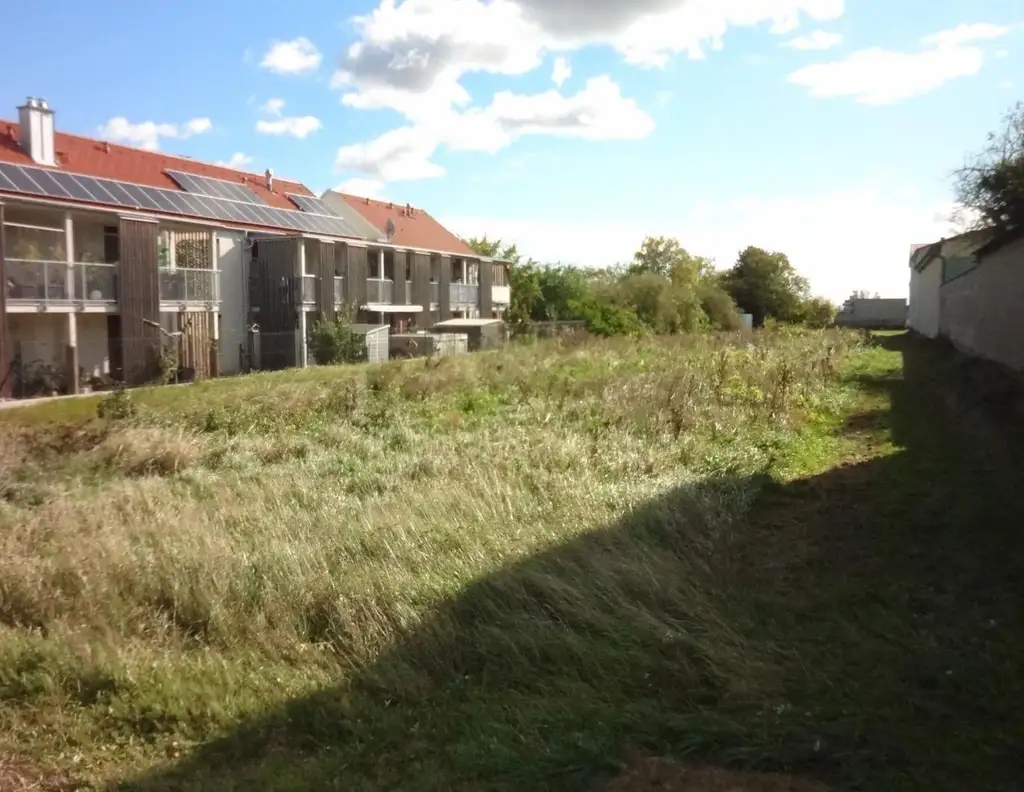 Aufgeschlossenes Grundstück in bester Lage am Ortsrand von Gols!