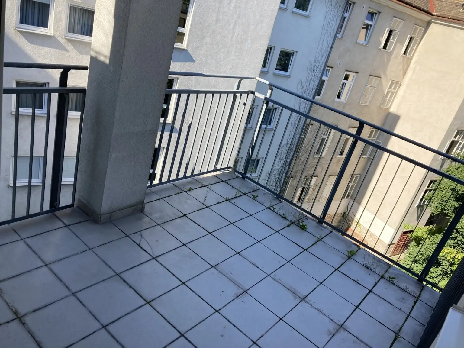 Freifläche