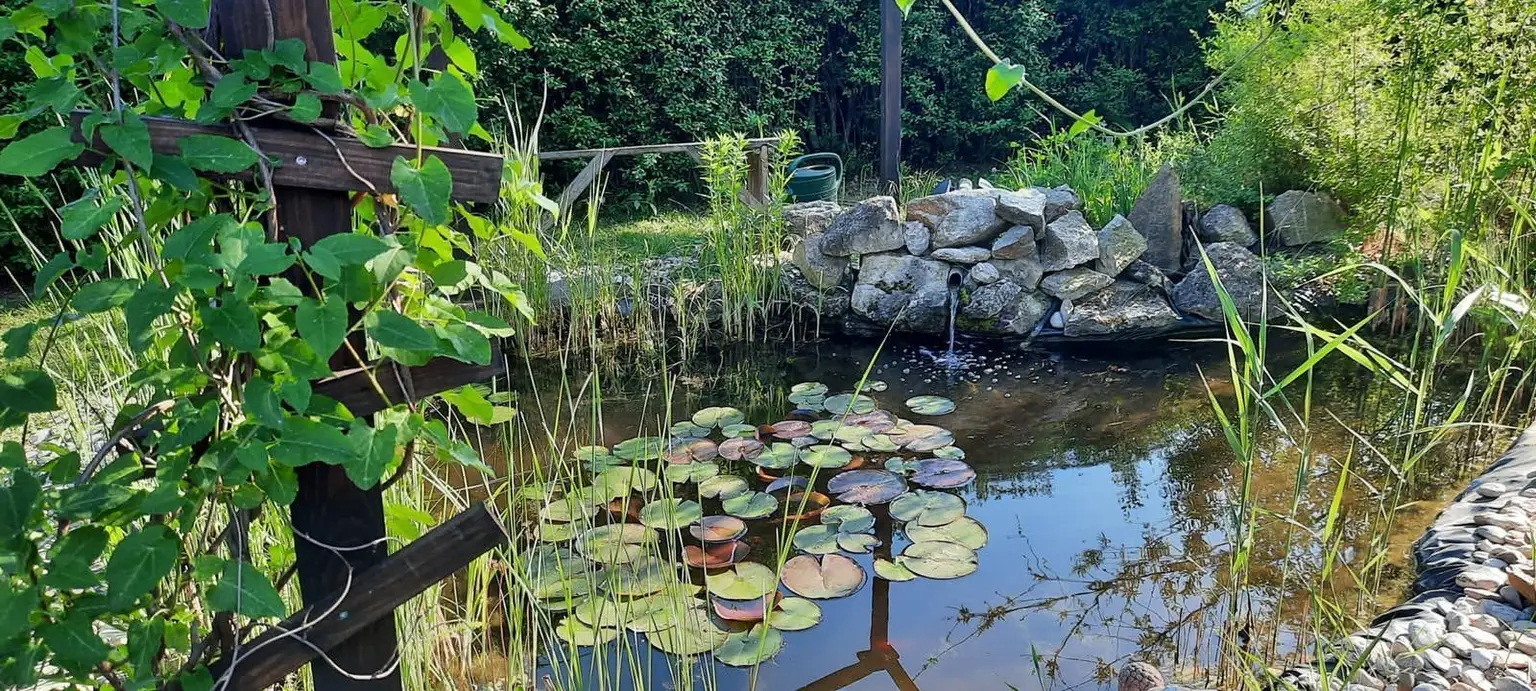 Seerosenteich