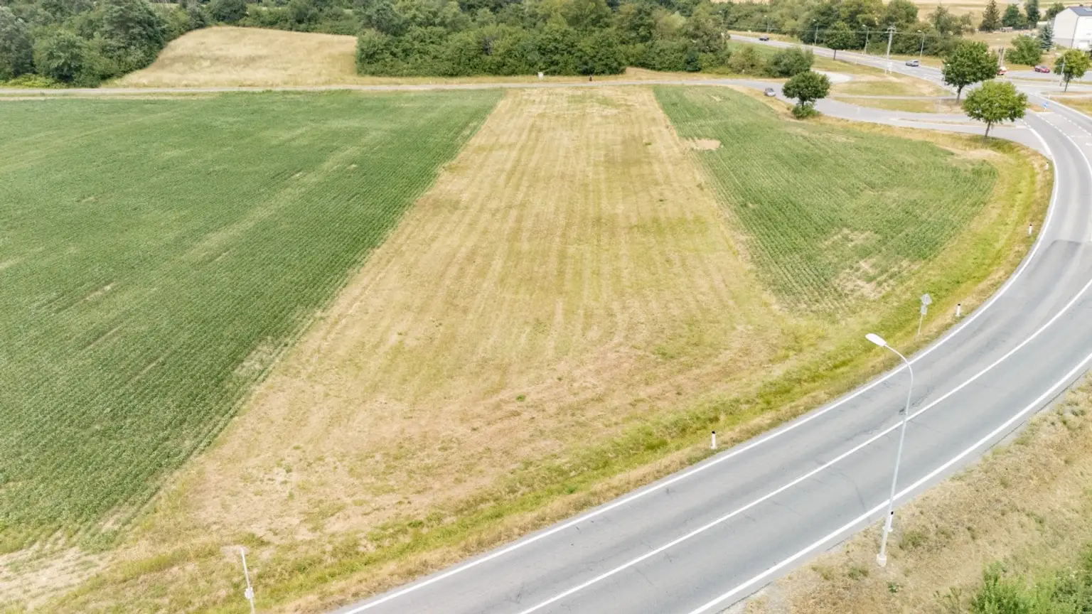 [06813] Grundstück mit Entwicklungspotential in Steinberg-Dörfl