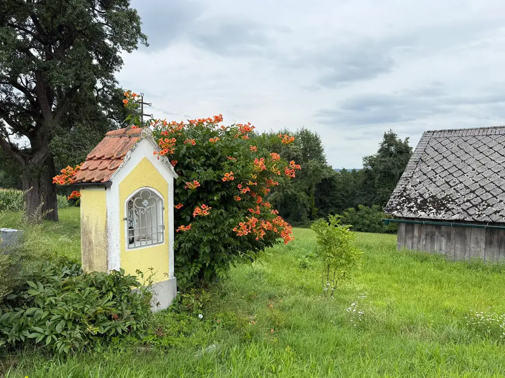 Traumhaftes Bauernhaus in Alleinlage mit Blick auf den Sonntagberg – 13 Hektar Natur pur im Ybbstal