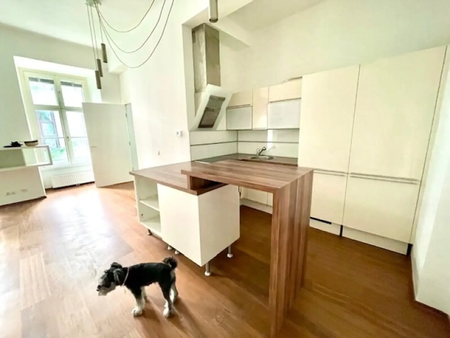 WOHNEN im 7-ten HIMMEL - INNENSTÄDTISCHE EIGENTUMSWOHNUNG- ELEGANTE Klassische Wiener-Altbau-Wohnung mit 2-Zimmern in Top Lage am SPITTELBERG - DURCHHAUS!