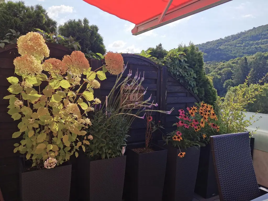 Charmante Maisonette mit großzügiger Terrasse und Grünblick in Kaltenleutgeben