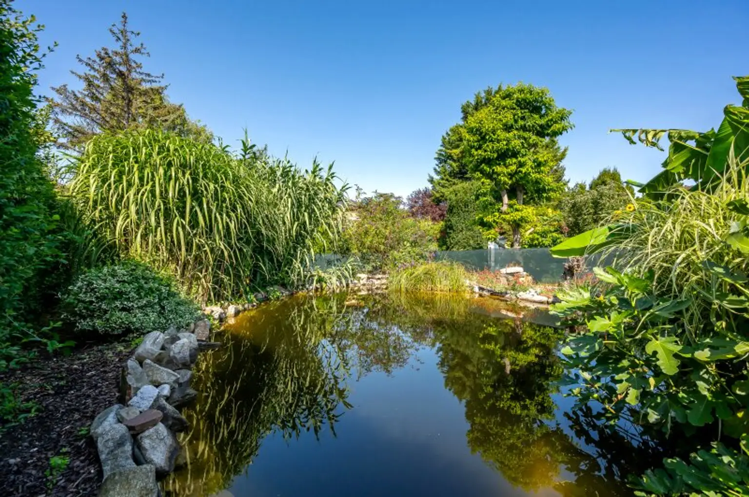 Bezauberndes Haus mit großem Garten und Schwimmteich