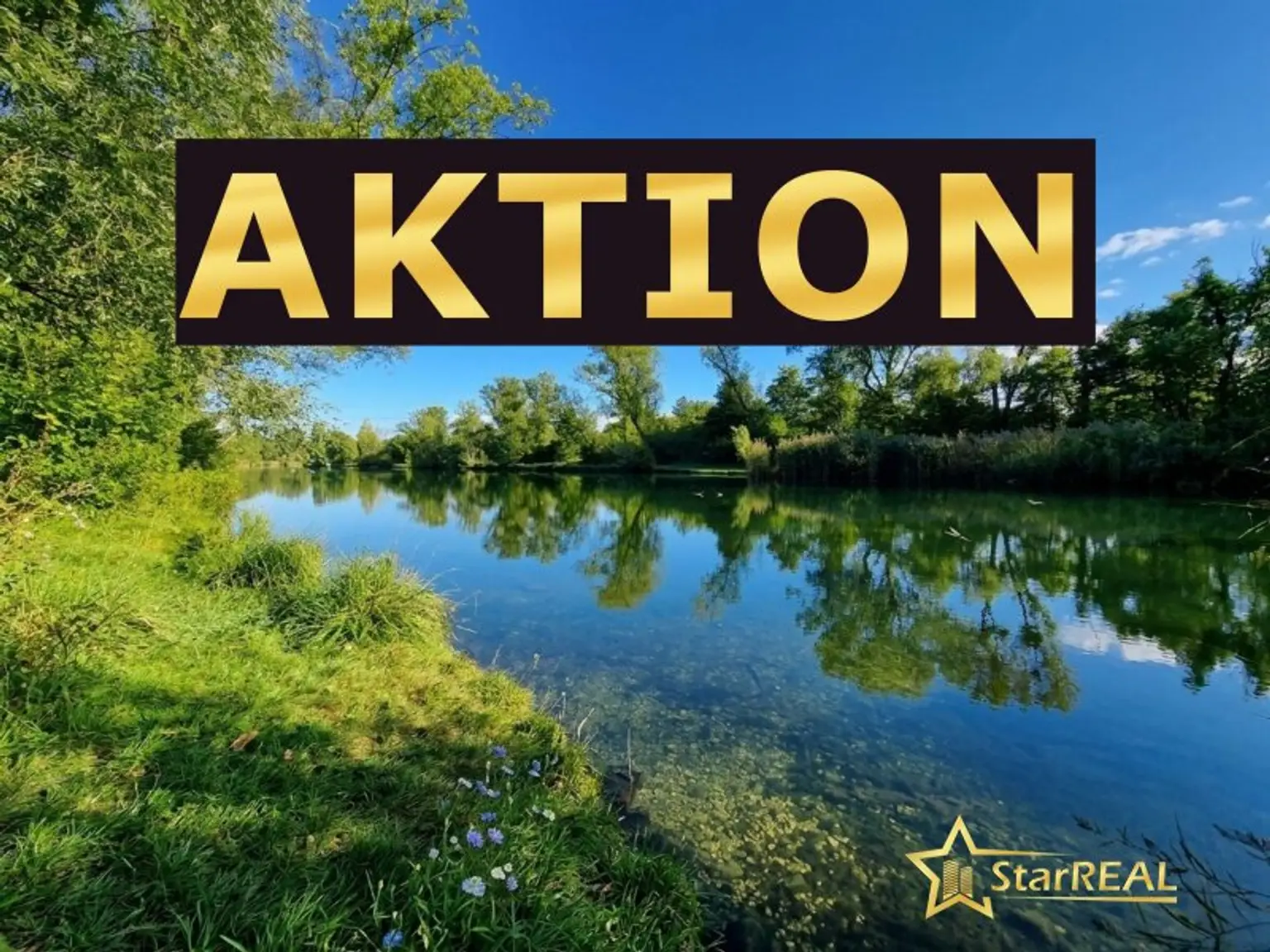 SOMMERAKTION