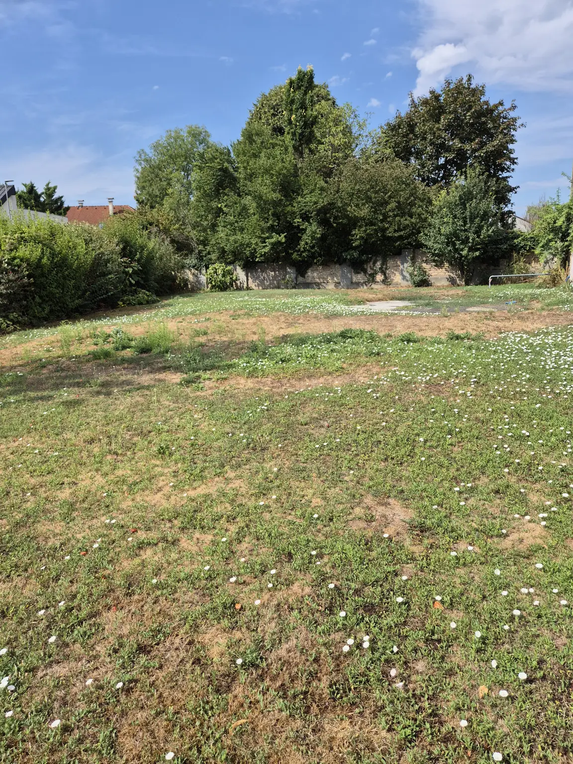Garten1