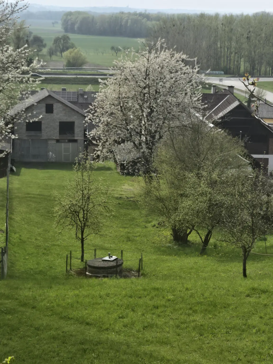 Garten mit Blick auf Garage