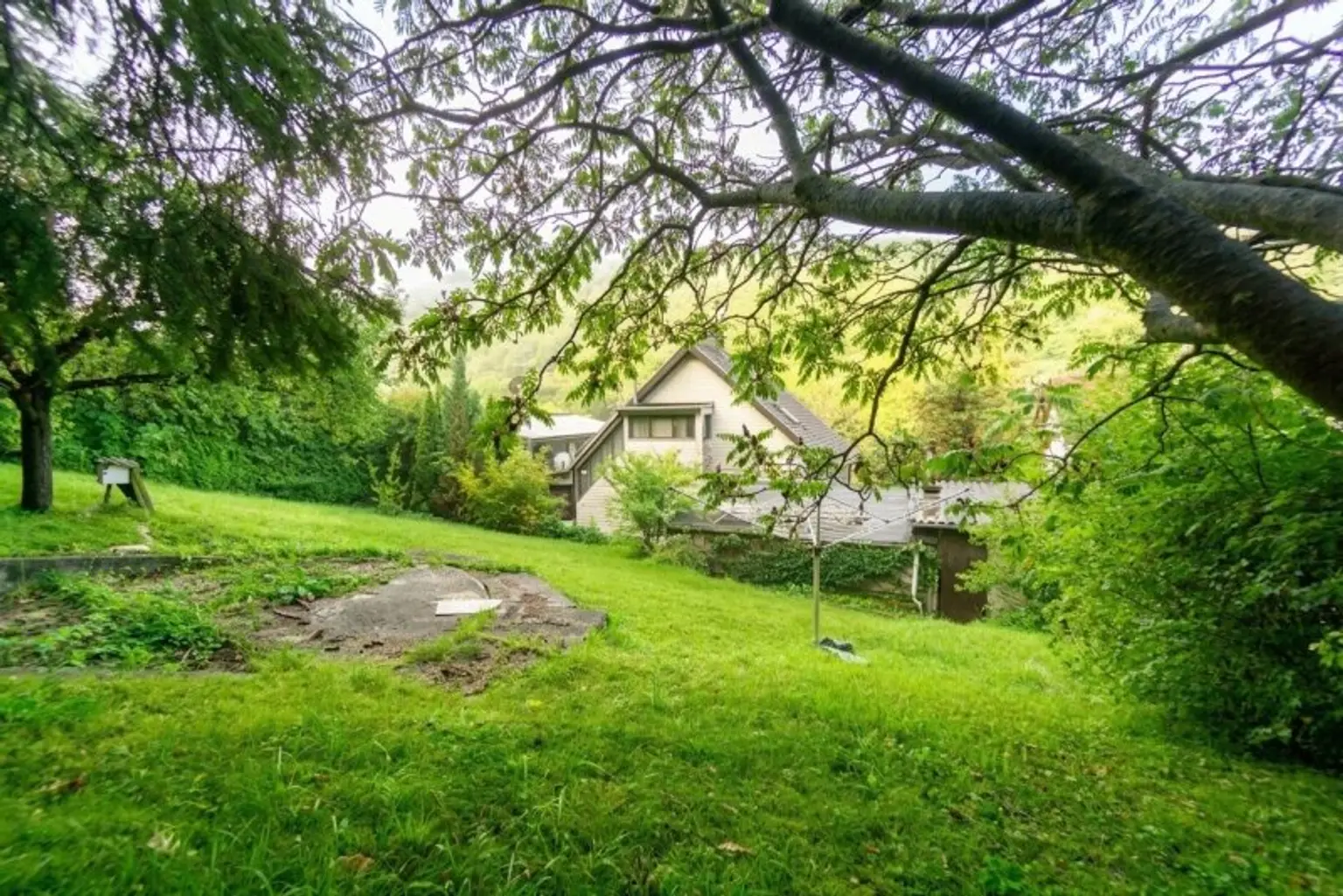Blick Richtung Südwest - Garten hinten