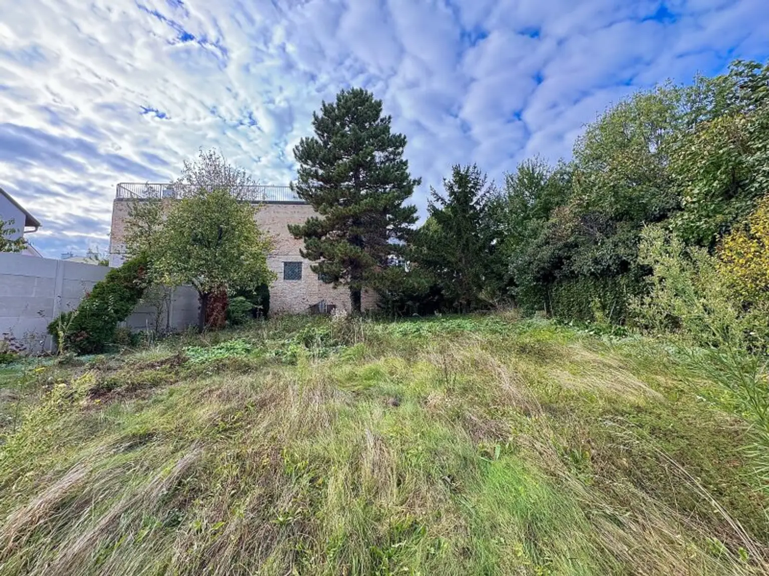 Haus mit ehemaligem Heurigen I GROSSES POTENTIAL I Wohnen + Arbeiten I geräumige Lagerflächen