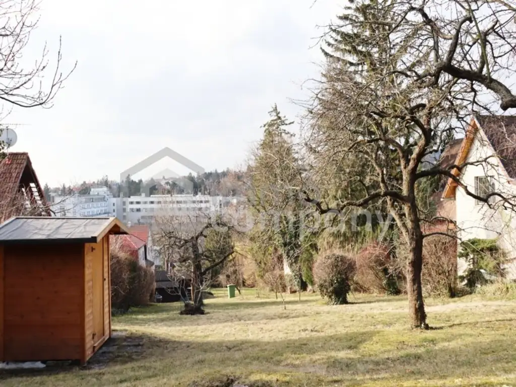 ES GIBT FÜR ALLES EINEN GRUND - wir haben gleich 3 davon…