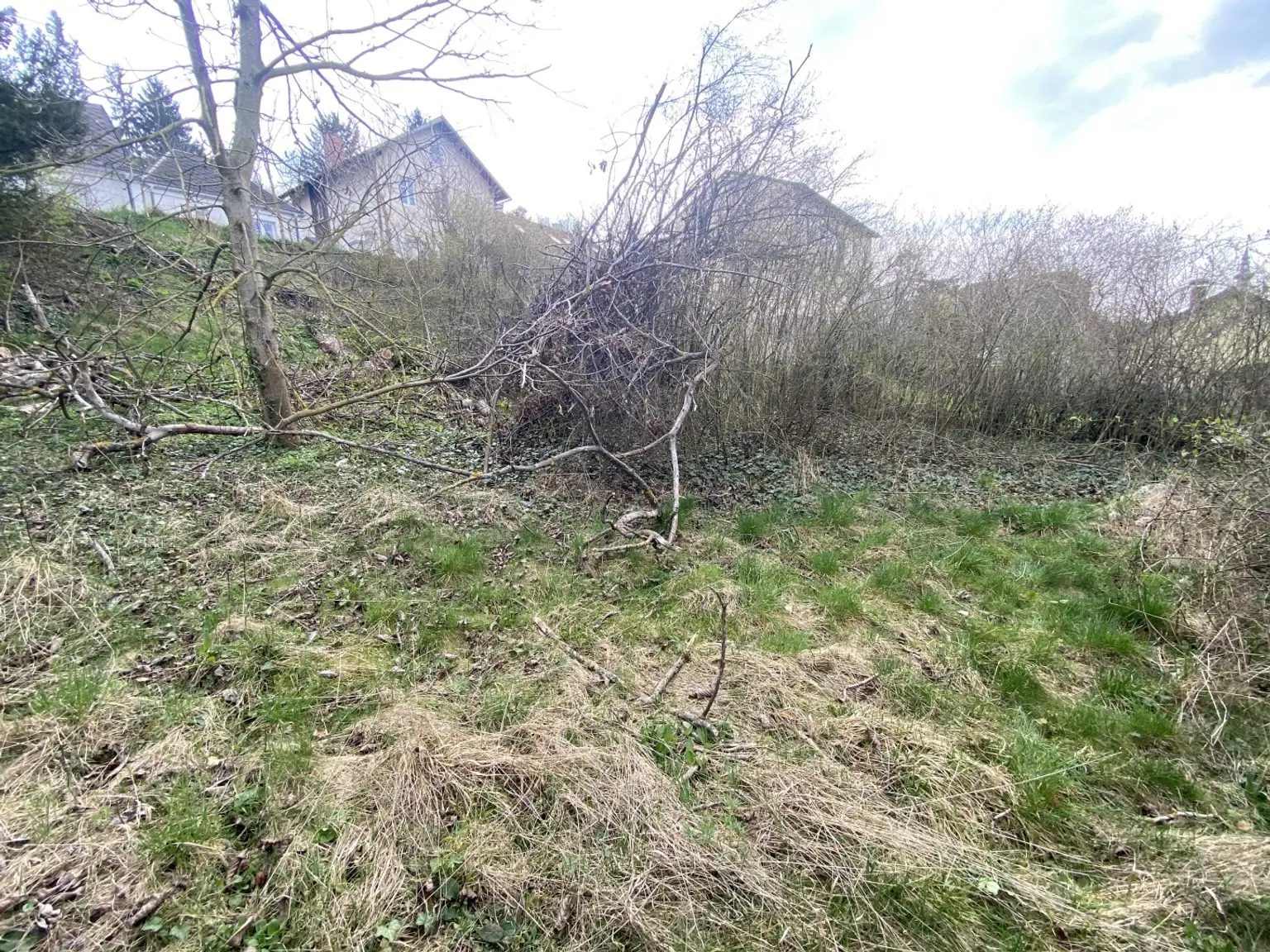 4 Baugrundstück in Königstetten