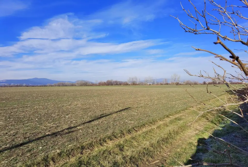 Anlageobjekt mit solider Jahresrendite – vermietetes Einfamilienhaus in ruhiger Lage!