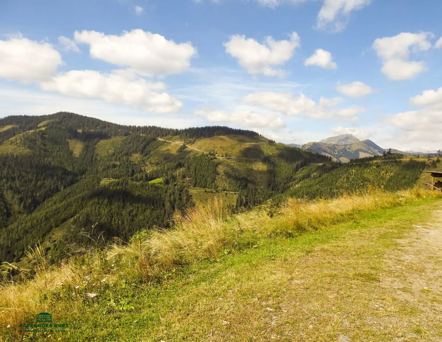 Pachtjagd - ca. 2.000 ha zentral in Österreich
