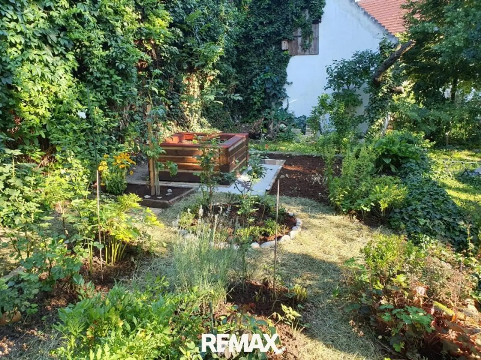 Gemüsegarten_Sommer