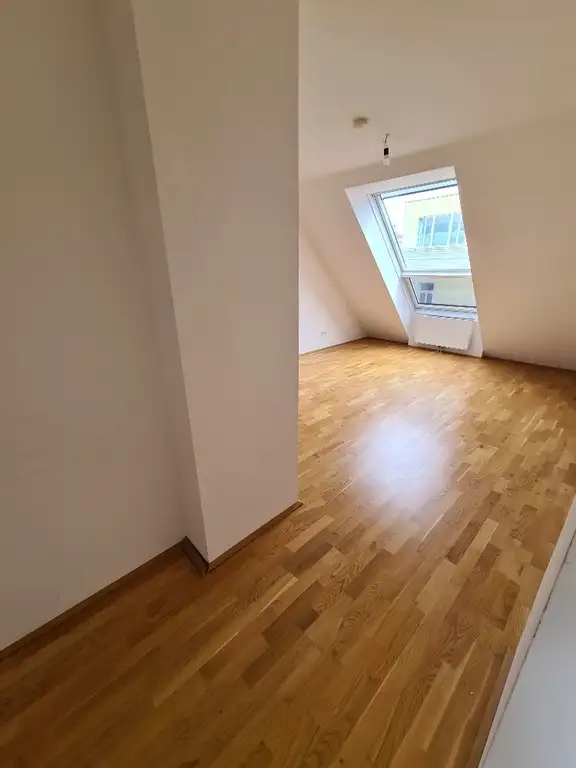 Zimmer V