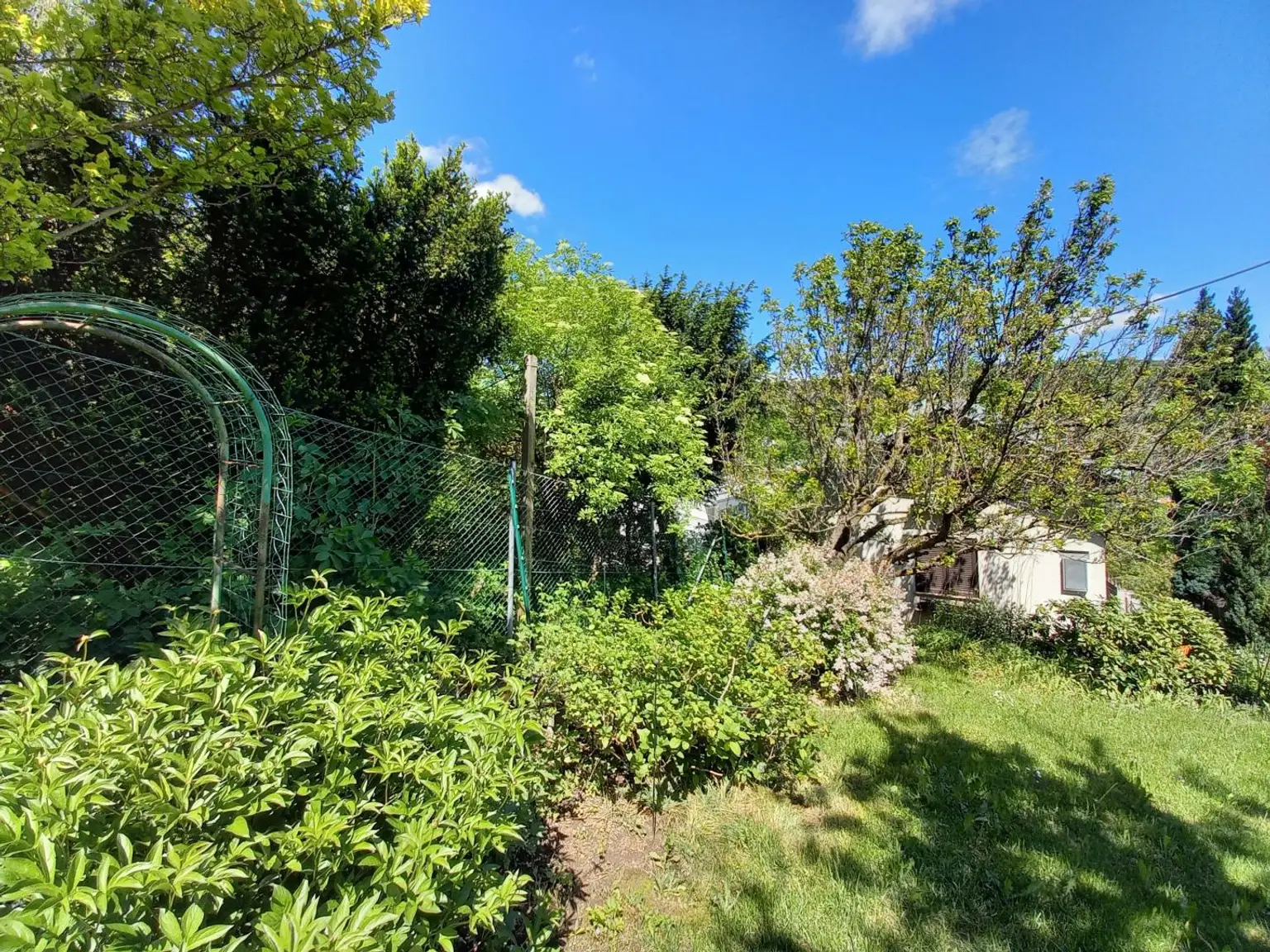 Garten Bild 1