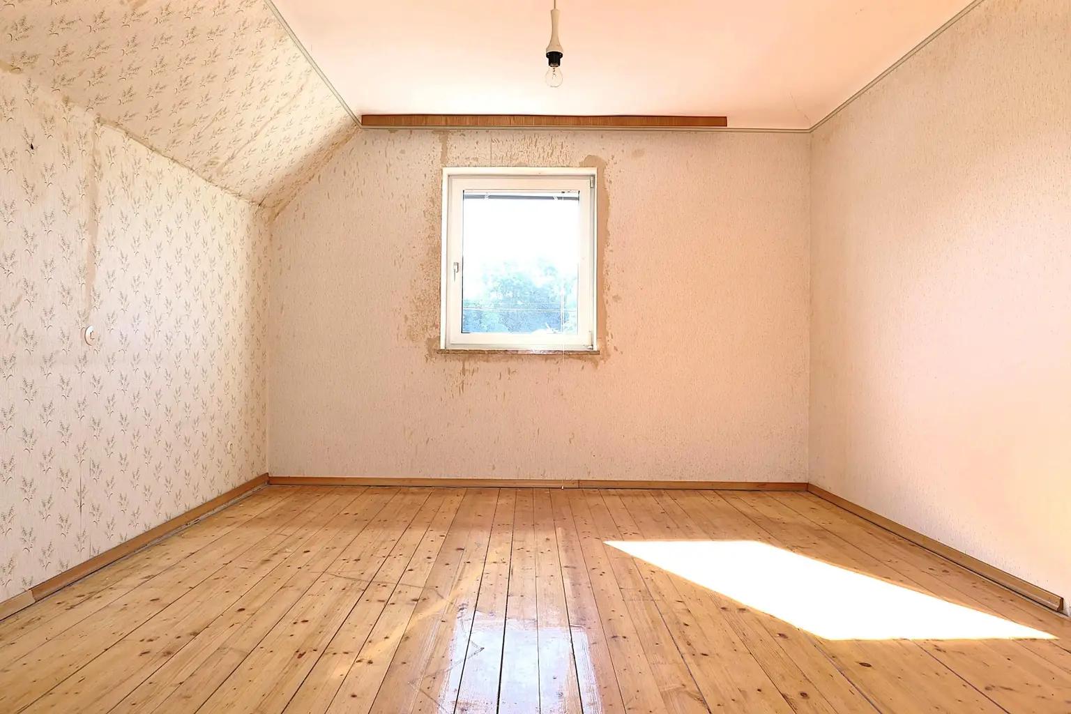 Zimmer DG