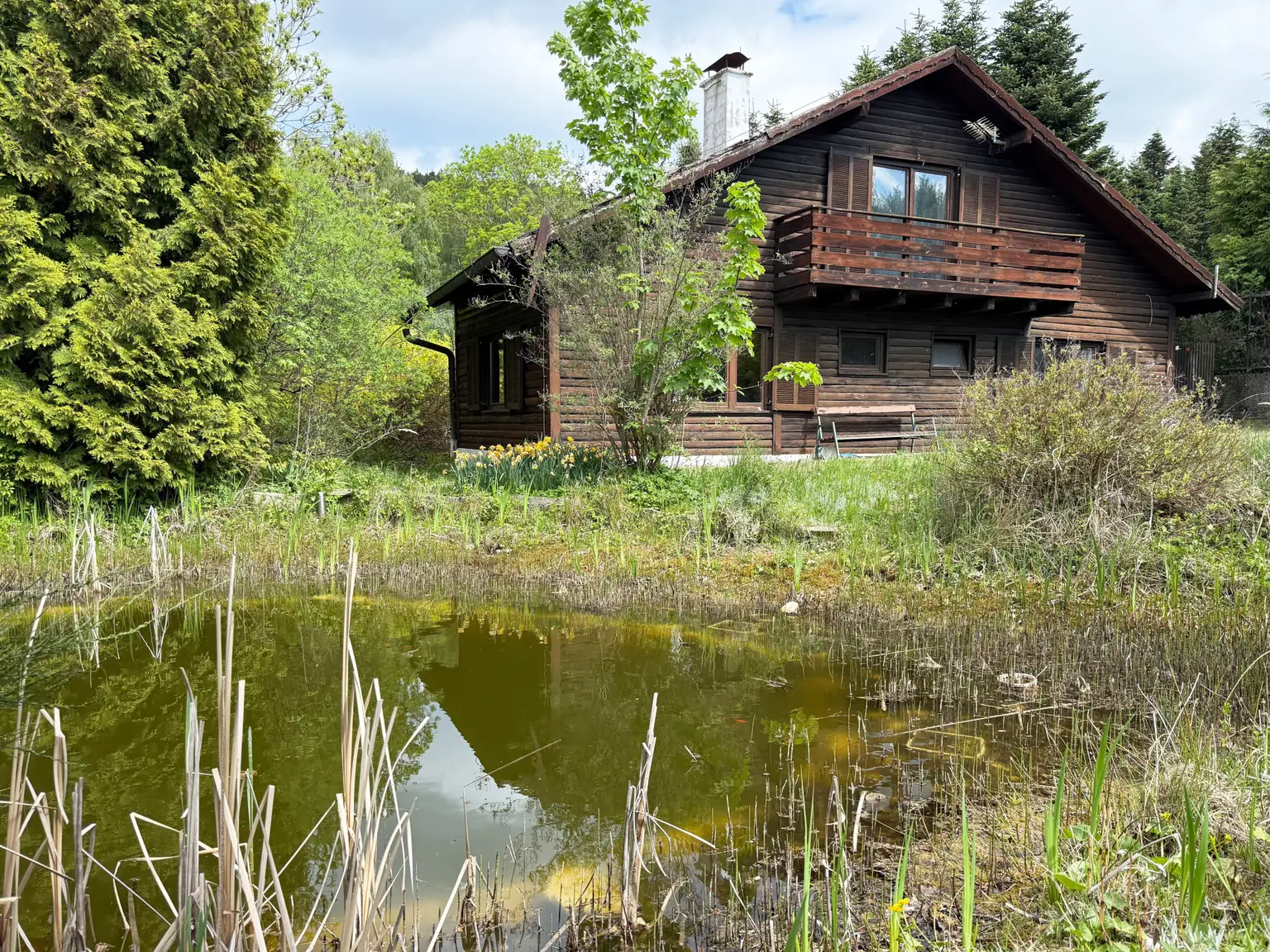 Teich bei Gästehaus bei Pferdestallungen